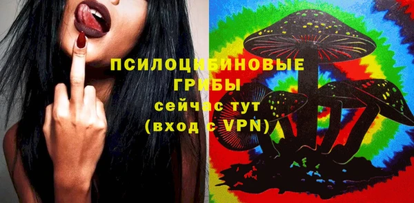 стафф Абинск