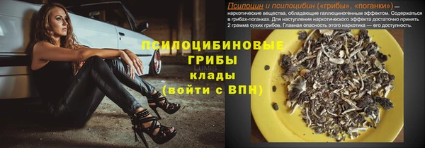 стафф Абинск